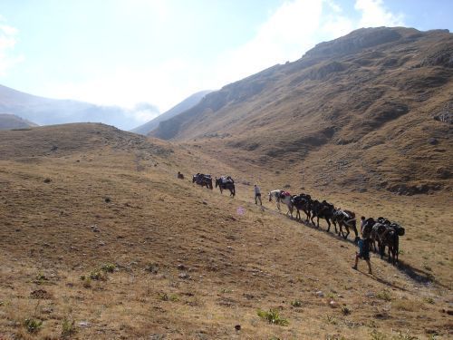 trekking con i muli-36.jpg